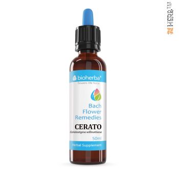 cerato,цератостигма, саркофай,ceratostigma willmottiana, саркофай капки