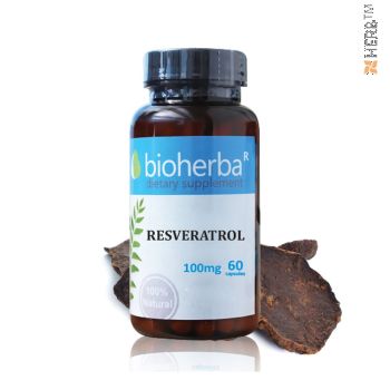 RESVERATROL 100 MG, 60 CAPSULES