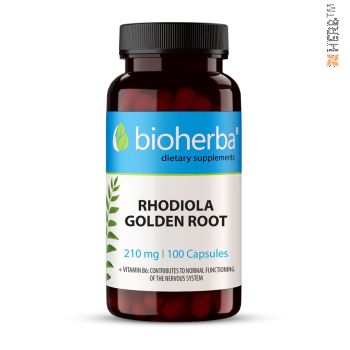 rhodiola, златен корен, адаптоген, Златовръх