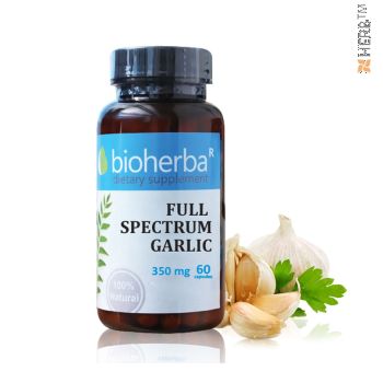 full spectrum garlic, 60 capsules