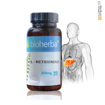 l-methionine, bioherba, capsules