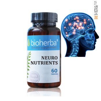 neuro nutrients, neuro, nutrients