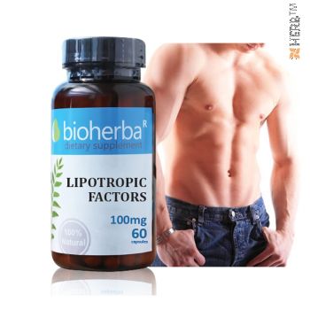 lipotropic factors, BIOHERBA