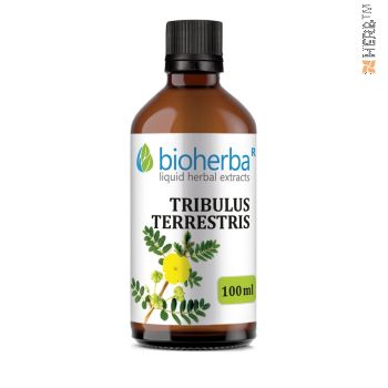 Tribulus terrestris, Tribulus terrestris tincture