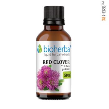 RED CLOVER, Trifolium pratense, Bioherba, liquid, herbal, extract, tincture, diabetes, osteoporosis, arthritis