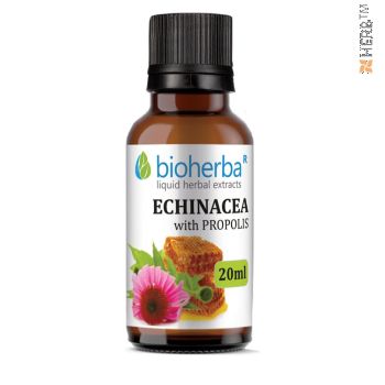 tincture, echinacea, tincture echinacea, echinacea tincture, 20ml, cold, flu, colds, natural product, price, prices