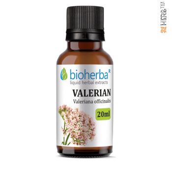 Valerian, tincture, Valeriana officinalis, herbal extract, nervous system, neurosis, stress, palpitations, insomnia, hysteria