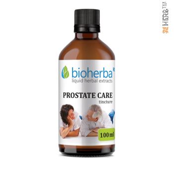 prostate tincture, prostate, male endocrine system, herbal extract, enlarged prostate, prostate health