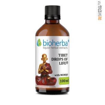 TIBET DROPS OF LIFE with MUMIJO, Bioherba, liquid, herbal, extract, tincture, fibroids, cysts, mastopathy,