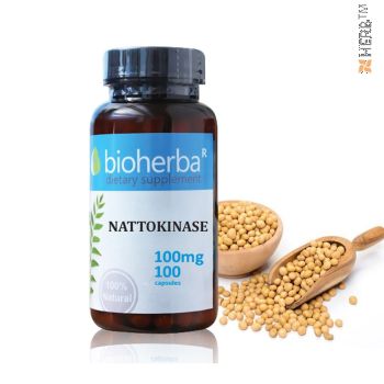 Nattokinase Bioherba 100mg x 100 Capsules