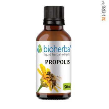 Propolis, tincture, propolis, herbal extract, propolis extract, immunity, immune system, viruses, bacteria, infections