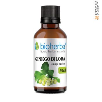 Ginkgo Biloba, tincture, Ginkgo bilobae, herbal extract, brain, dew, memory, varicose veins, hemorrhoids