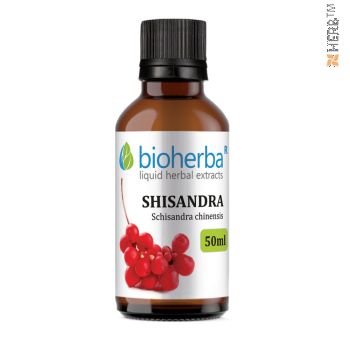 Schisandra, tincture, Schisandra chinensis, herbal extract, immunity, muscle, nervous, system, immune, anemia, cough