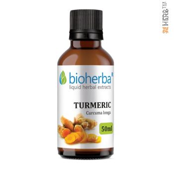 Turmeric, tincture, Curcuma longa, herbal extract, digestion, stomach, weight loss, bile, endocrine system