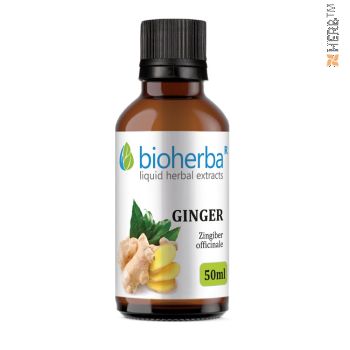 Ginger, tincture, herbal extract, immunity, digestion, energy