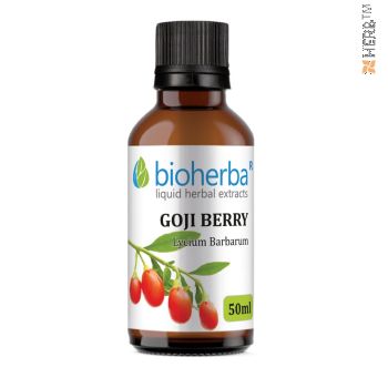 Goji berry, tincture, Lycium, herbal extract, antioxidant, immunity, health, eyes