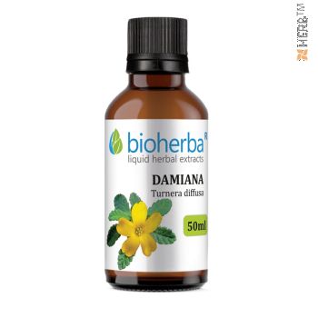 Damiana, tincture, Turnera diffusa, herbal extract, men, women, reproductive system, libido, potency, nervous system