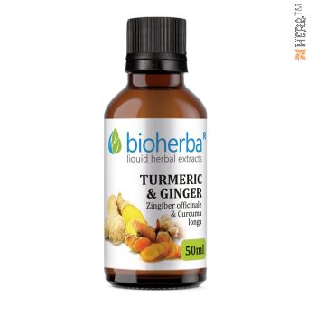 turmeric and ginger, tincture, Zingiber officinale, Curcuma longa, herbal extract, liver, detox, immunity, antioxidant, diet, digestion