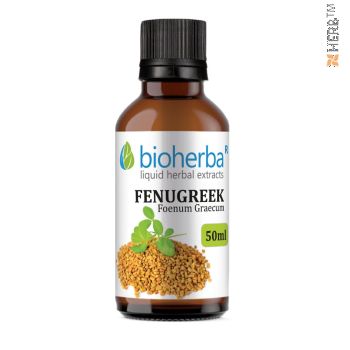 Fenugreek, tincture, Foenum Graecum, herbal extract, diabetes, sclerosis, atherosclerosis, cramps, vitamin B1