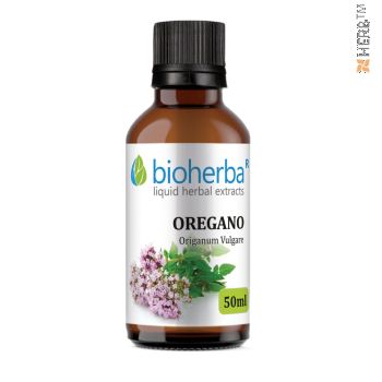 Oregano, tincture, Origanum Vulgare, herbal extract, cough, bronchitis, cramps, stomach