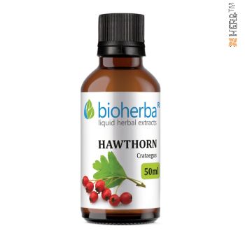 Hawthorn, tincture, Crataegus, herbal extract, heart rate, pulse, sedation