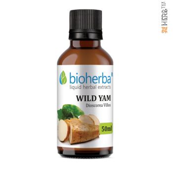 Ingredients: 1ml contains 1ml tincture 1:5 equivalent to 250mg of Wild Yam (Dioscorea Villos). Recommended Use: As a dietary supplement take 30 drops three times daily dissolved in 150ml of water (30 drops = 1.2ml). Action: Beneficial for relieving the mo