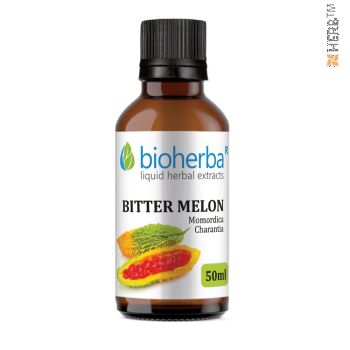 Bitter melon, tincture, momordica, herbal extract, Momordica Charantia, digestion, diabetes, diet, cholesterol, weight loss, blood sugar