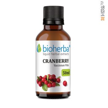 cranberry, tincture, Vaccinium Vitis, herbal extract, genitourinary system, cystitis,