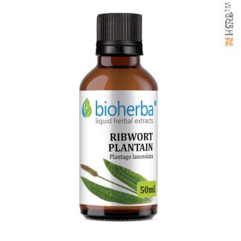 narrow-leaved plantain, tincture, ribwort plantain, narrow-leaved plantain, herbal extract, digestion, bile, stomach, intestinal flora