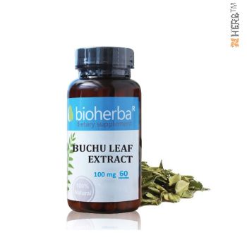 BUCHU LEAF EXTRACT 60 CAPSULES / БУЧУ ЛИСТ ЕКСТРАКТ 60 КАПСУЛИ