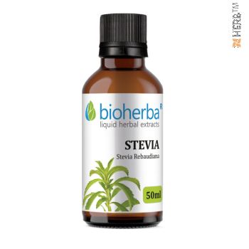 Stevia, tincture, Stevia Rebaudiana, herbal extract, weight loss, diabetes, heart, sweetener, natural