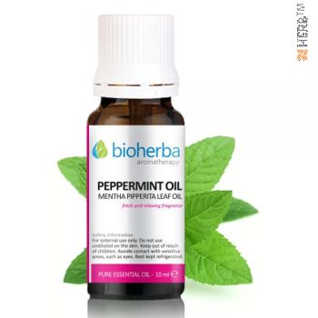 mentha piperita oil, mentha piperita oil msds