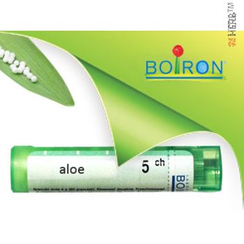 Алое, ALOE SOCOTRINA CH 5, Боарон