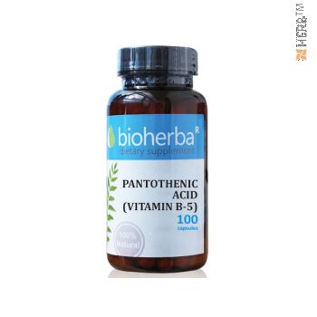 pantothenic acid, vitamin b-5, пантотенова киселина