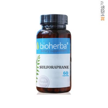 SULFORAPHANE 60 CAPSULES / СУЛФОРАФАН ОТ БРОКОЛИ 60 КАПСУЛИ