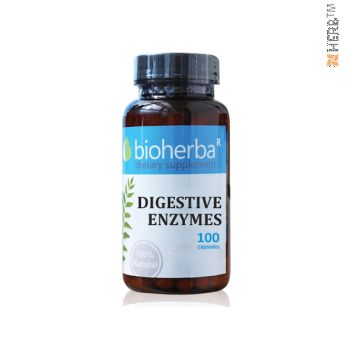 digestive enzymes, digestive enzymes, fats