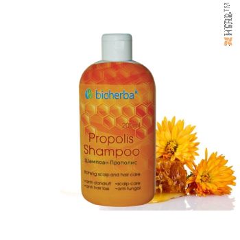 shampoo, propolis shampoo 