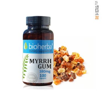 myrrh, resin, bioherb, myrrh price, myrrh resin price, myrrh capsules, food supplement