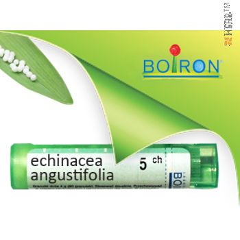 ехинацея, echinacea angustifolia ch 5, боарон