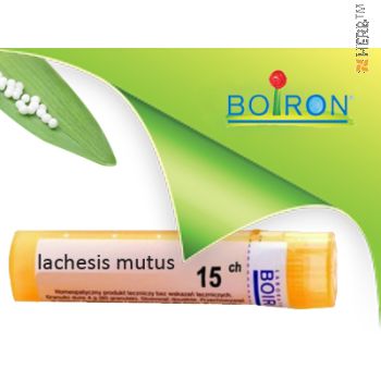 lachesis mutus, boiron