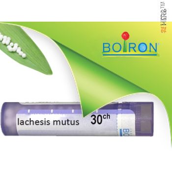 lachesis mutus, boiron