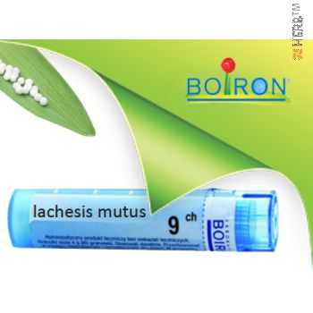 lachesis mutus, boiron