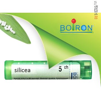 silicea, boiron