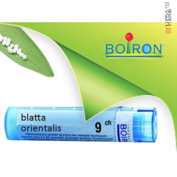 blatta orientalis,boiron