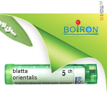 blatta orientalis,boiron