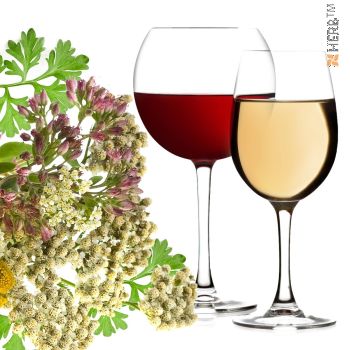 herbs for wormwood, herbal mixture, wormwood herbs, wormwood wine