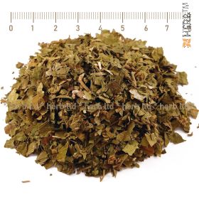 gymnema sylvestre, Gymnema reviews, Gymnema tea