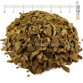 ginkgo biloba herb, ginkgo biloba leaf, ginkgo biloba, ginkgo biloba tea