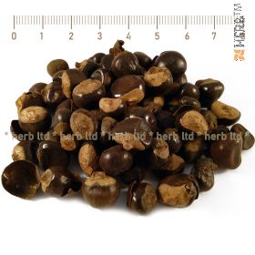 guarana, Paullinia cupana, Guarana seeds, Guarana action