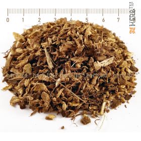 echinacea root, echinacea, SuperorderEchinacea